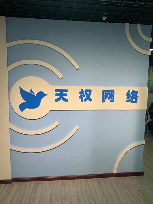 河南天权网络技术